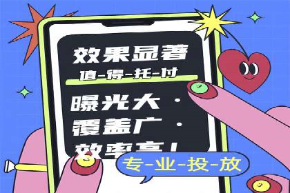 SEM投放策略优化案例分析